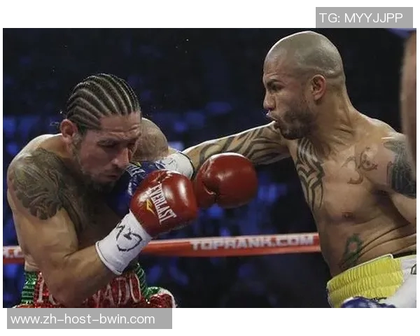 库托与哈顿精彩对决视频回顾分析揭示拳击技巧与战术较量